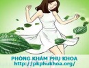 Xông Lá Trầu Không Chữa Bệnh Phụ Khoa, Trị Ngứa Vùng Kín