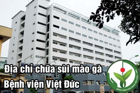 Top 9 địa chỉ chữa bệnh sùi mào gà ở đâu Hà Nội tốt nhất Top 9 địa chỉ chữa bệnh sùi mào gà ở đâu Hà Nội tốt nhất