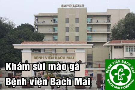 Top 9 địa chỉ chữa bệnh sùi mào gà ở đâu Hà Nội tốt nhất Top 9 địa chỉ chữa bệnh sùi mào gà ở đâu Hà Nội tốt nhất