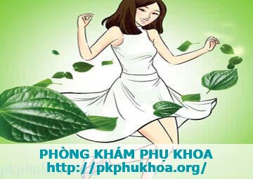 trị ngứa vùng kín bằng lá trầu không