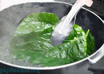 xông lá trầu không chữa bệnh phụ khoa