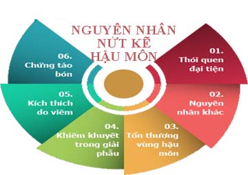nguyên nhân nứt kẽ hậu môn