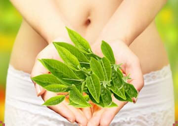 rửa vùng kín bằng nước chè xanh rửa vùng kín bằng nước chè xanh