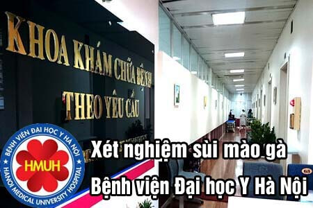 Top 9 địa chỉ chữa bệnh sùi mào gà ở đâu Hà Nội tốt nhất Top 9 địa chỉ chữa bệnh sùi mào gà ở đâu Hà Nội tốt nhất